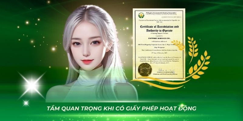 Tầm quan trọng lớn của giấy phép hoạt động AE888
